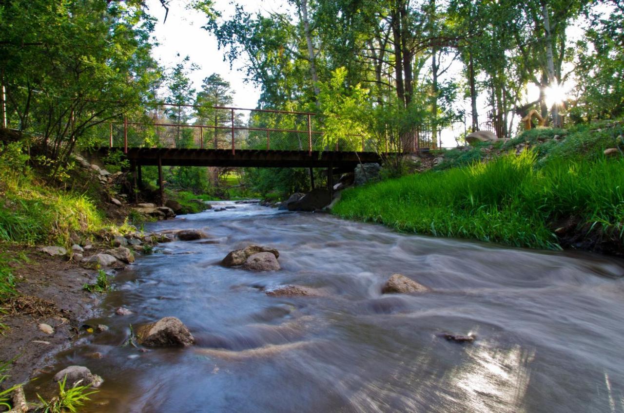 Oso Blanco Ruidoso Exterior foto