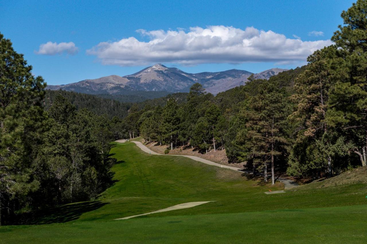 Oso Blanco Ruidoso Exterior foto