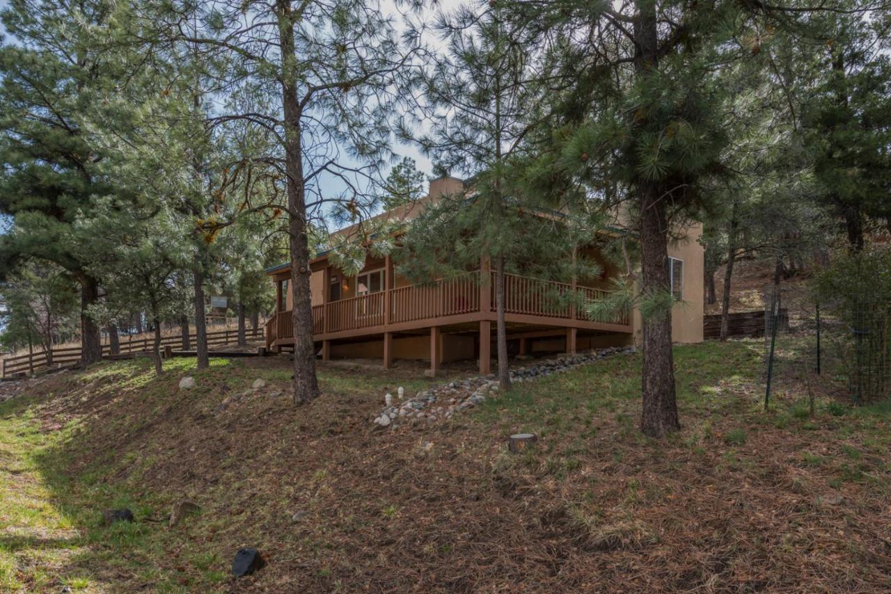 Oso Blanco Ruidoso Exterior foto