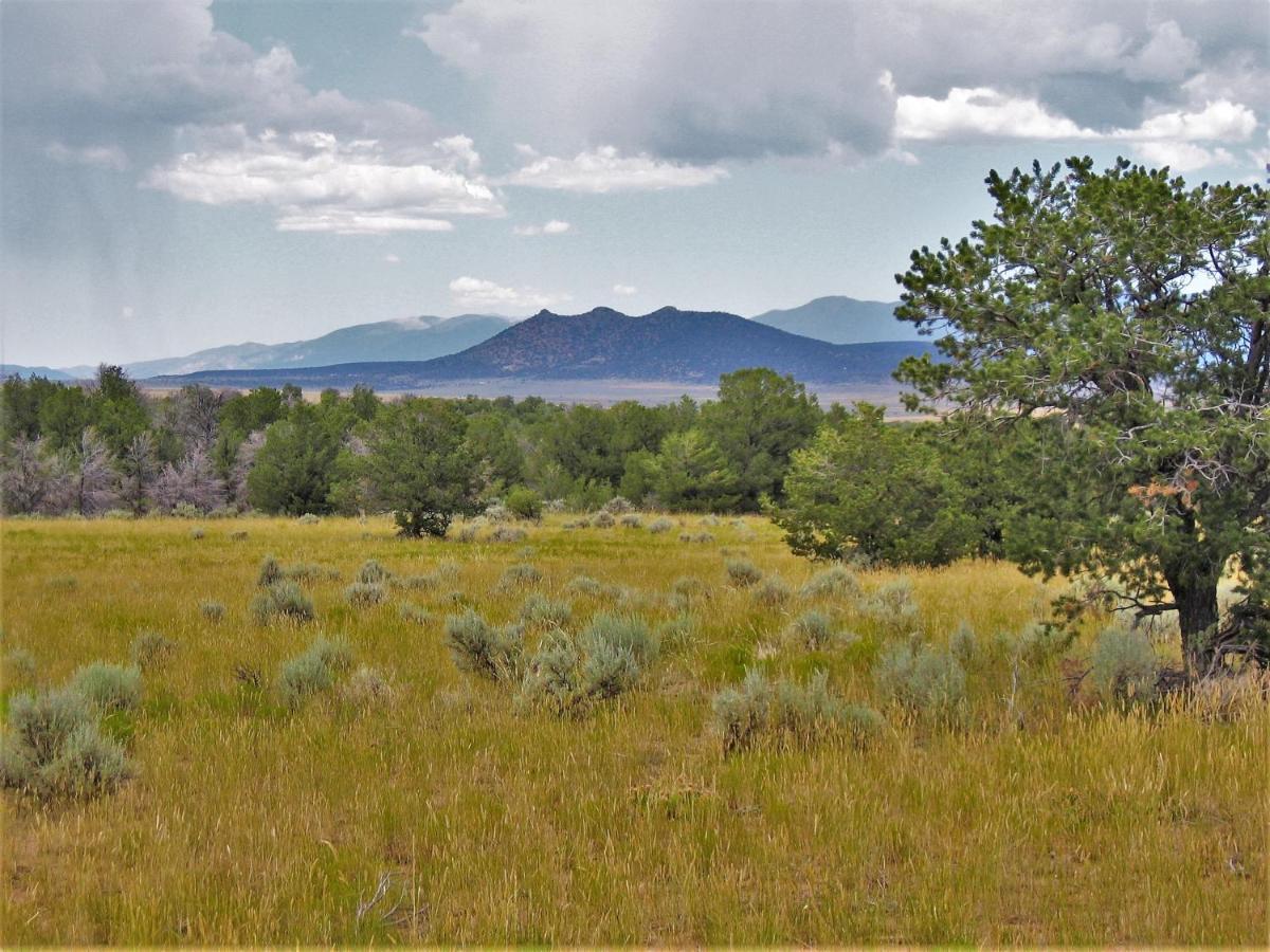 Oso Blanco Ruidoso Exterior foto